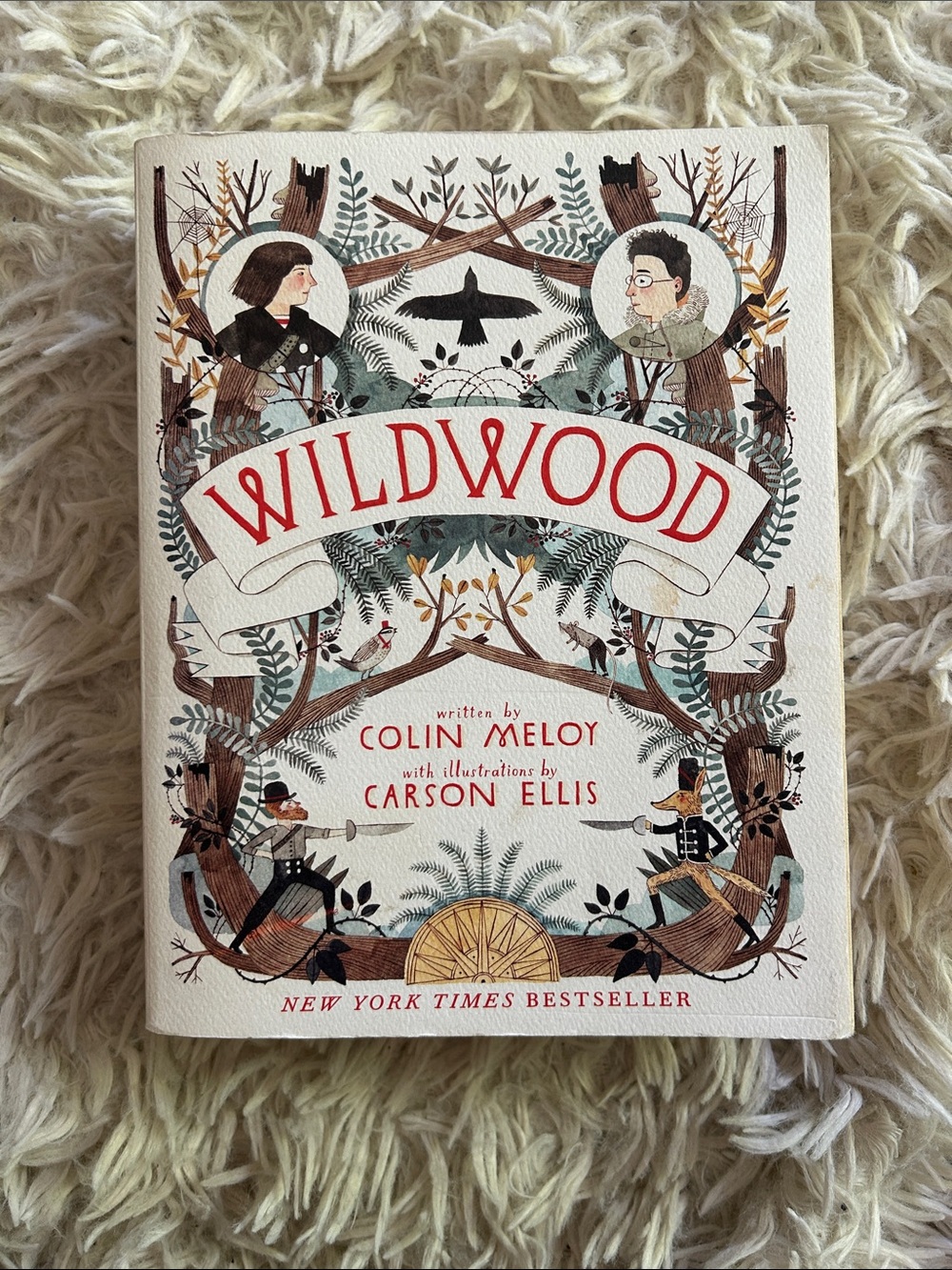 Indigo Wildwood Illustrated Storybook - Red, Brown, Green, Black
